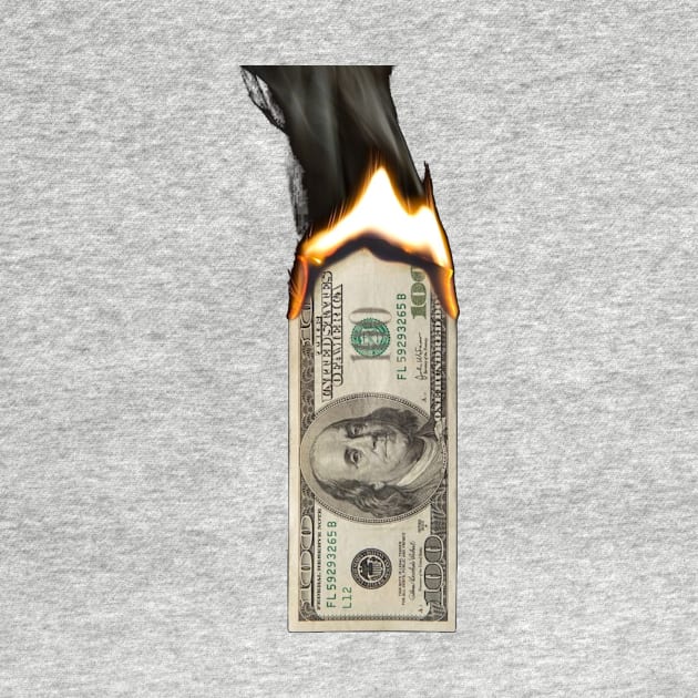 money burns USA by t-shiit